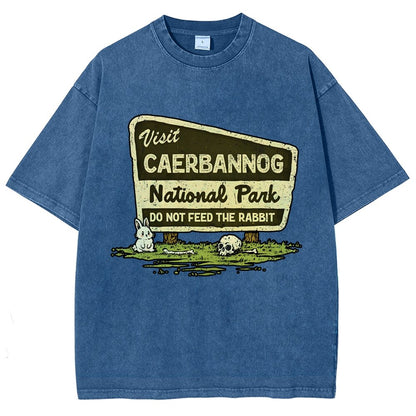 Mystic Valley National Park Vintage Distressed T-shirt