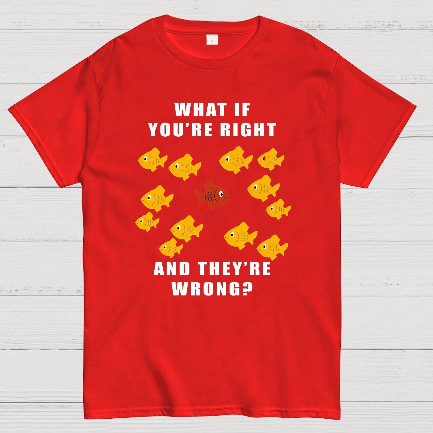 What If You're Right And They're Wrong Geeky T-Shirt