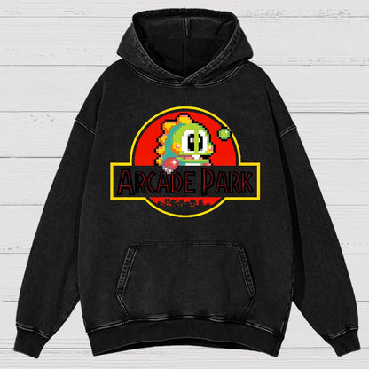 Arcade Park Vintage Distressed Hoodie