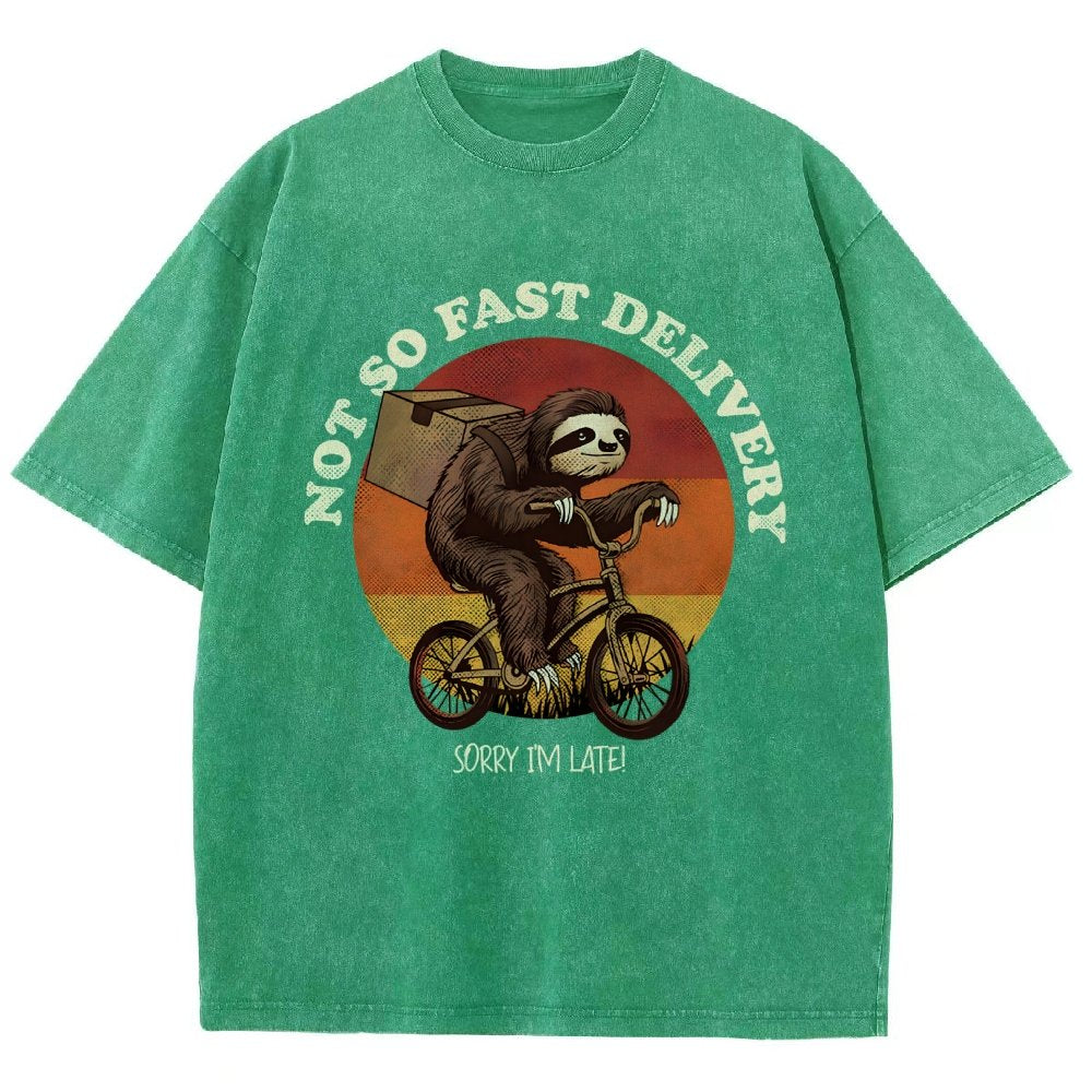 Not So Express Delivery Vintage Distressed T-shirt