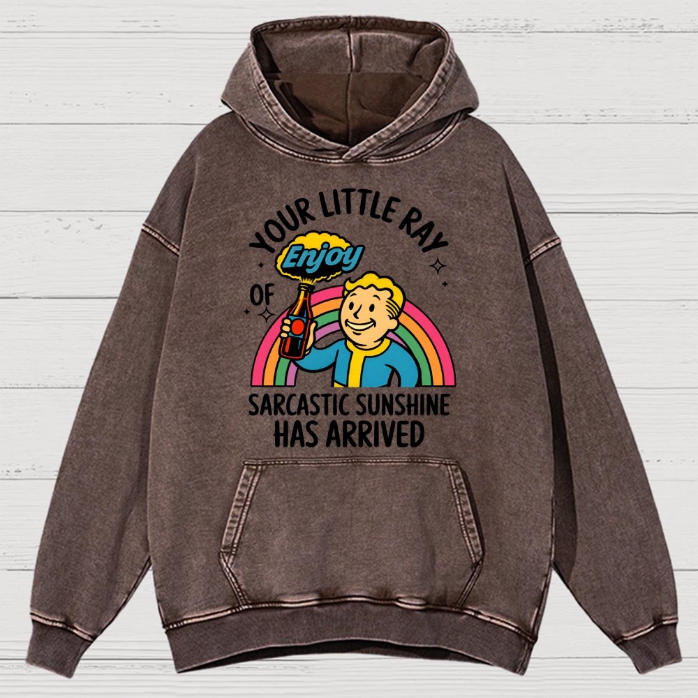 Your Little Ray Of Sarcastic Sunshine Has Arrived Vintage Distressed Hoodie