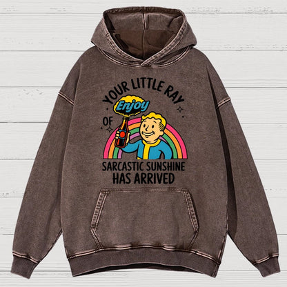 Your Little Ray Of Sarcastic Sunshine Has Arrived Vintage Distressed Hoodie