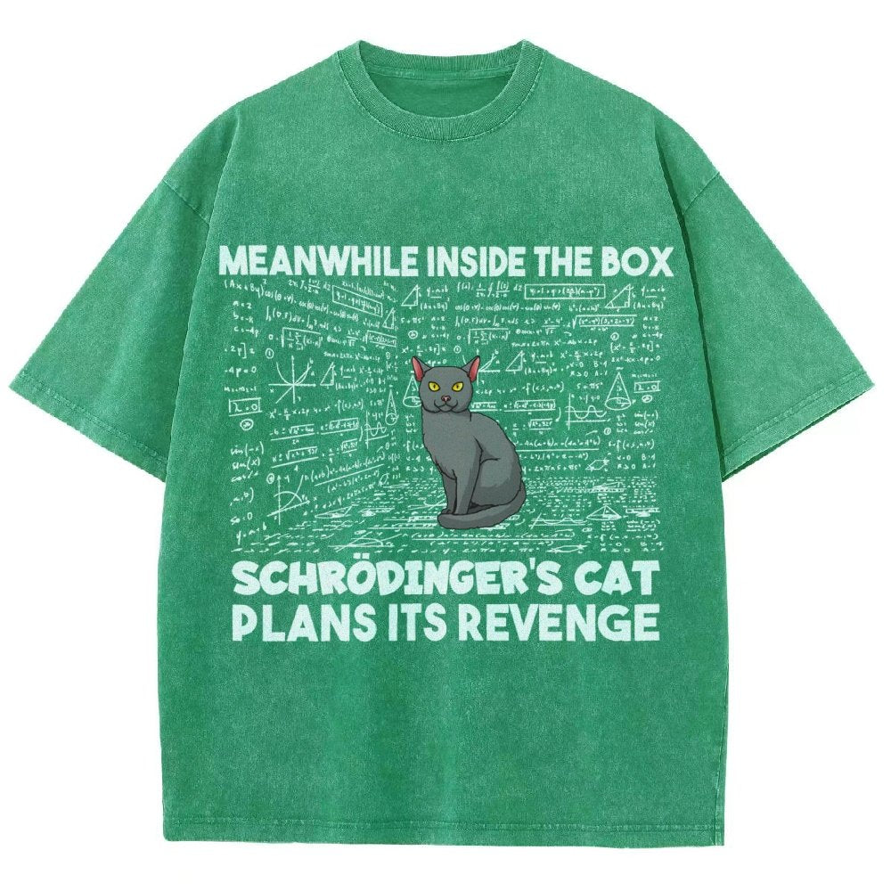 Inside The Box Schrödingers Cat Plans Its Revenge Vintage Distressed T-shirt