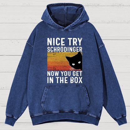 You Get Schrodinger's cat In The Box Vintage Distressed Hoodie