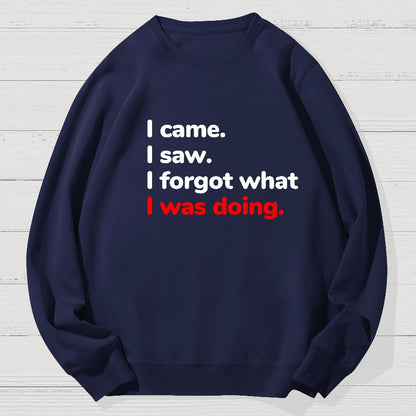 I Came. I Saw. I Forgot What I Was Doing Geek Cotton Sweatshirt