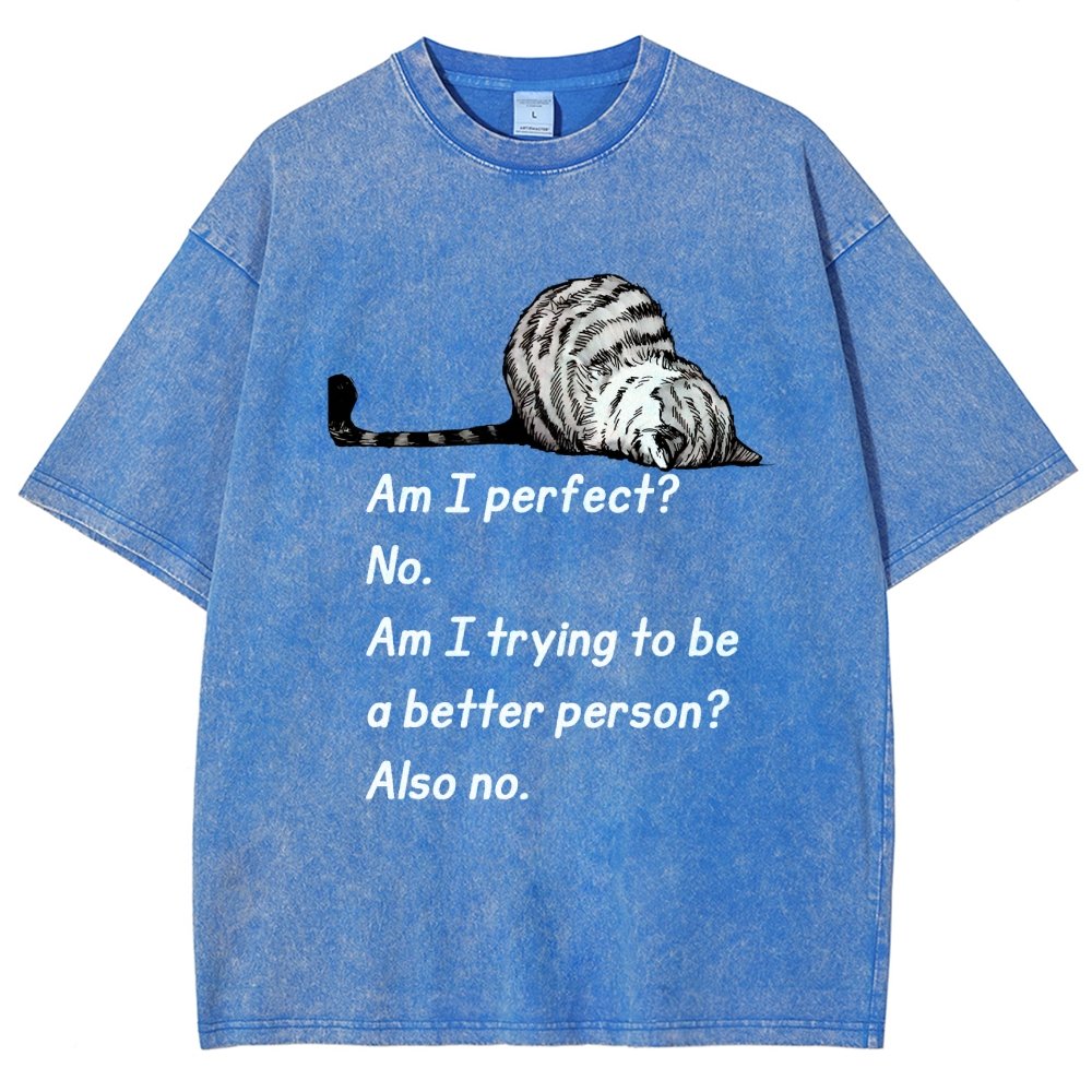 Am I Perfect No Vintage Distressed T-shirt