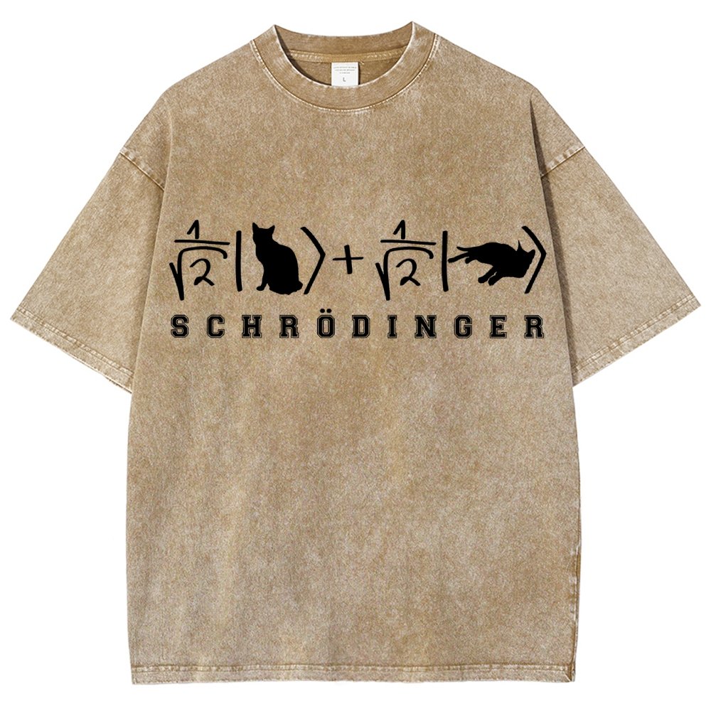 Schrödinger's Cat Vintage Distressed T-shirt