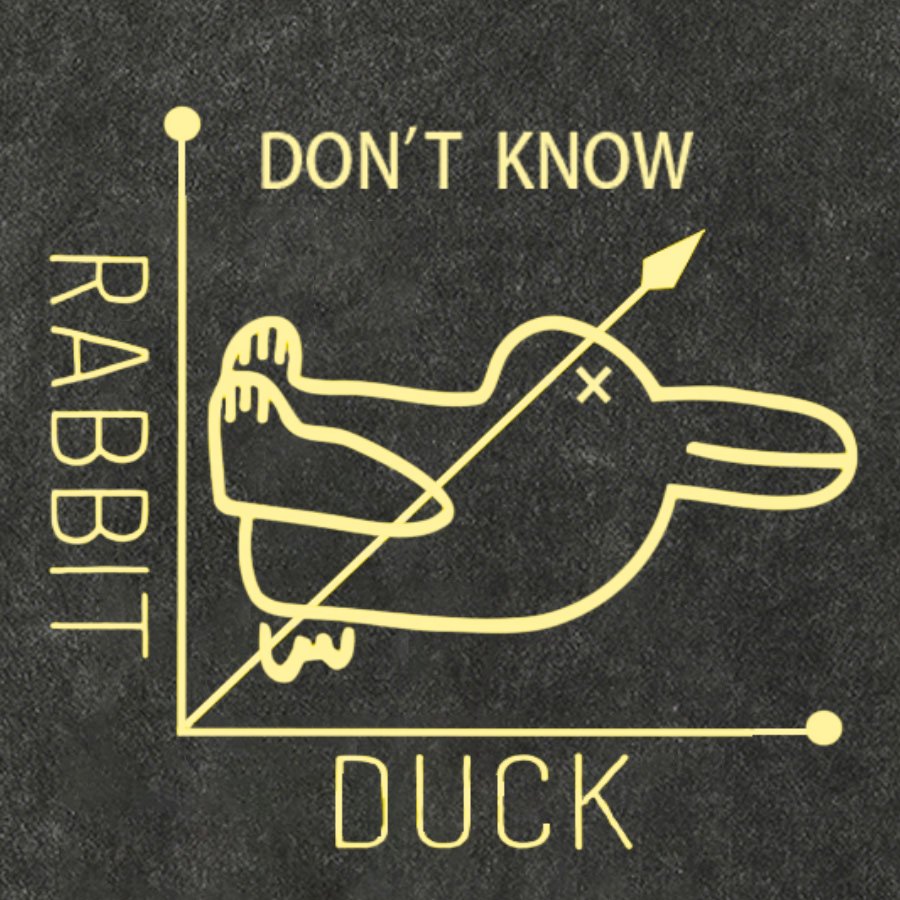 Rabbit or Duck - Don't know - Math Graph Vintage Distressed T-shirt