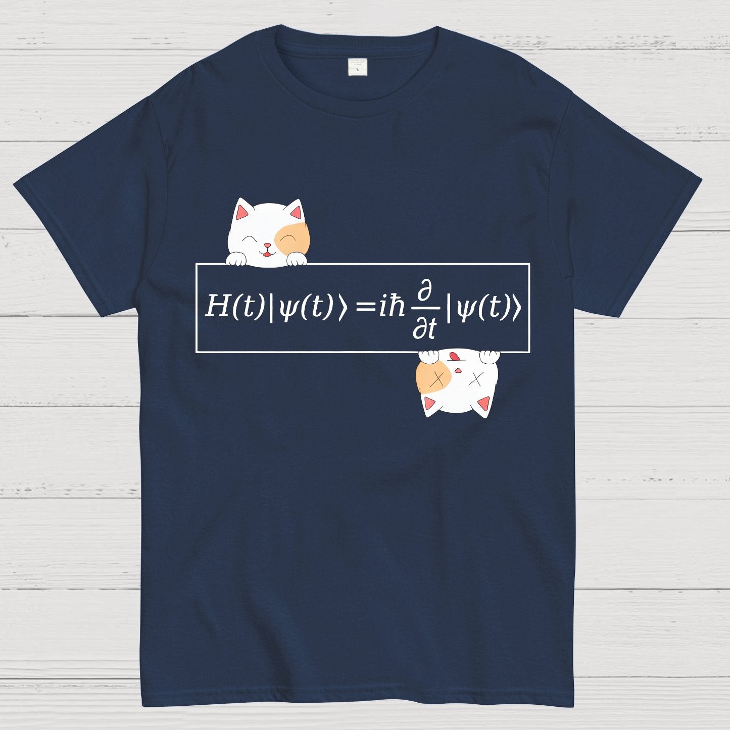 Schrödinger equation Geeky T-Shirt