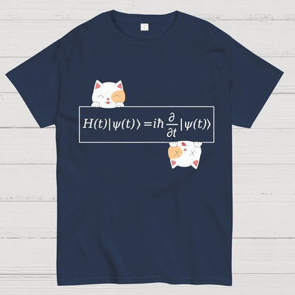Schrödinger equation Geeky T-Shirt