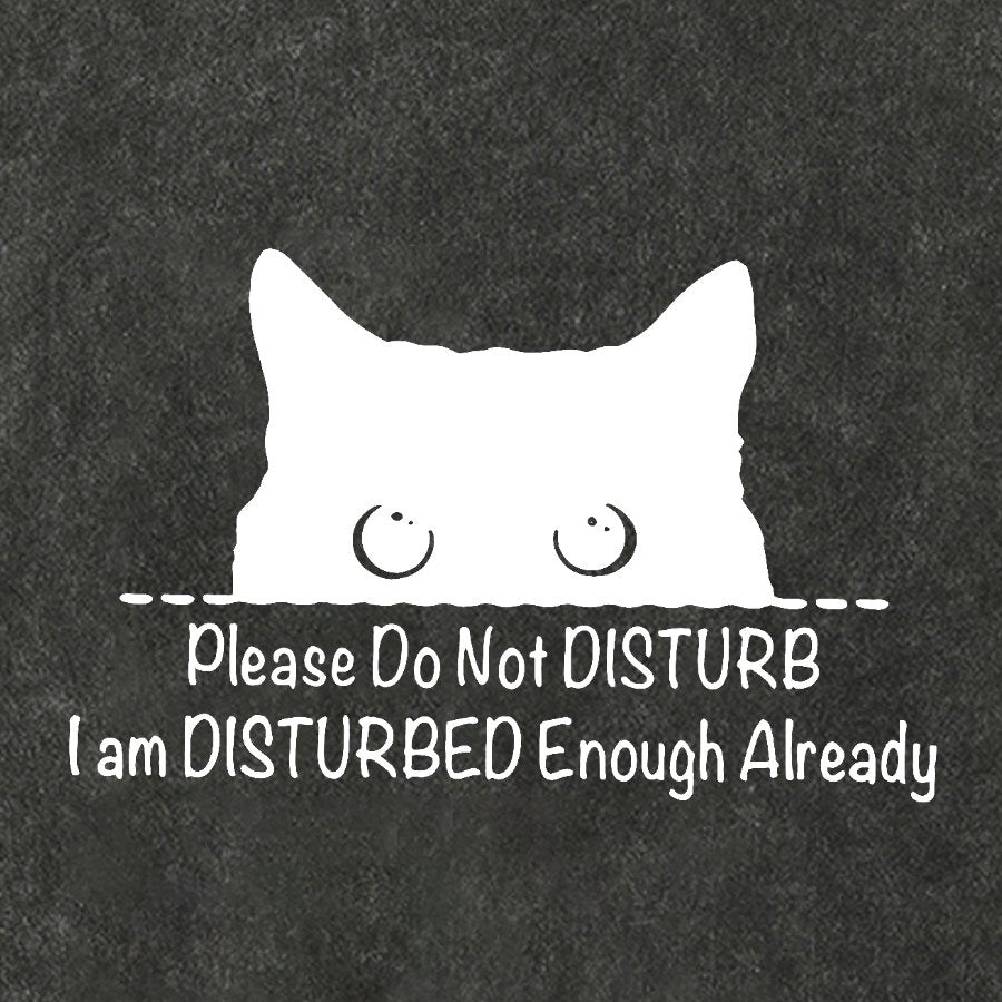 Please Do Not Disturb Vintage Distressed T-shirt