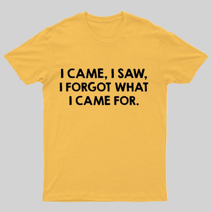 I Came and Saw Funny Geeky T-Shirt