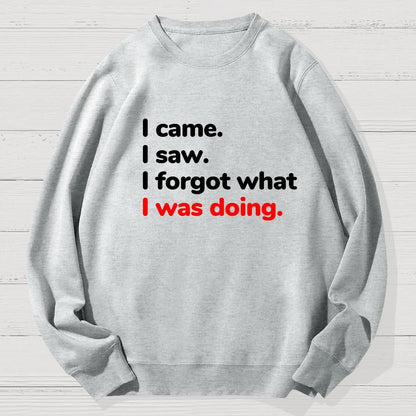 I Came. I Saw. I Forgot What I Was Doing Geek Cotton Sweatshirt