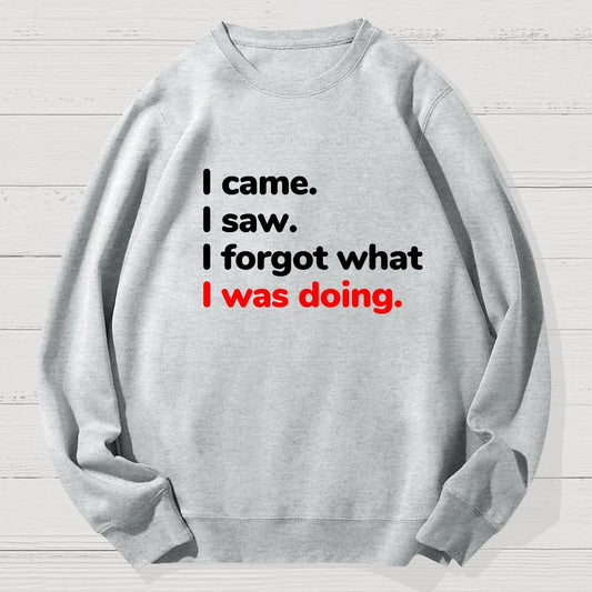 I Came. I Saw. I Forgot What I Was Doing Geek Cotton Sweatshirt
