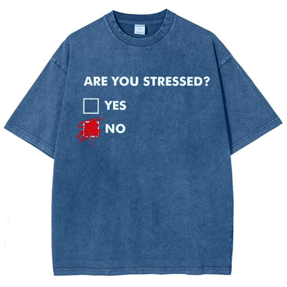 Fuuny Word Are You Stressed No Vintage Distressed T-shirt