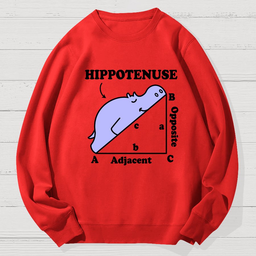 Hypotenuse Math Pun, Hippotenuse Essential Geek Cotton Sweatshirt