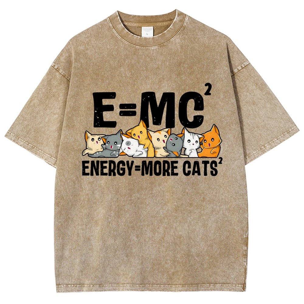 E=MC2 Vintage Distressed T-shirt