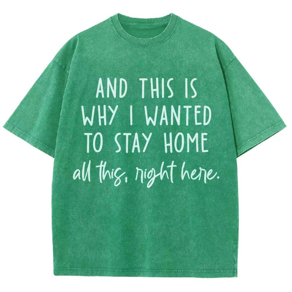 Sarcastic Introvert And This Is Why I Wanted To Stay Home Vintage Distressed T-shirt