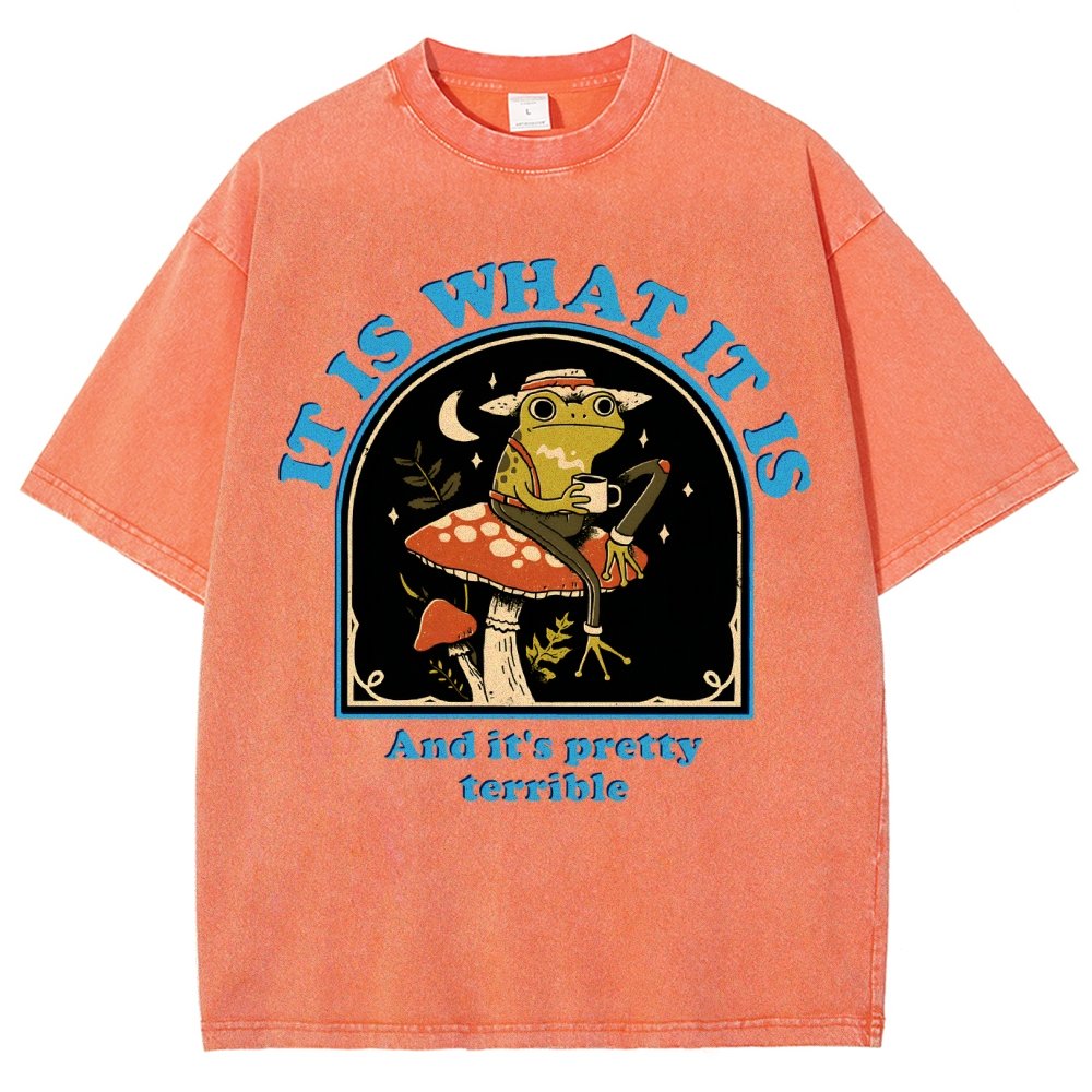 It Is What It Is And It's Pretty Terrible Vintage Distressed T-shirt