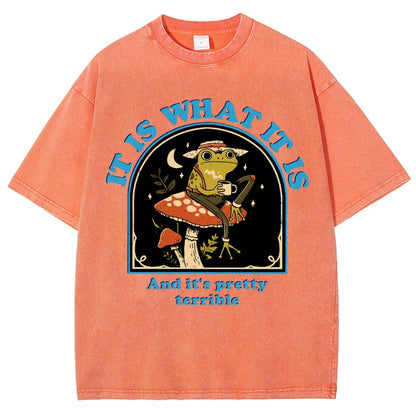 It Is What It Is And It's Pretty Terrible Vintage Distressed T-shirt