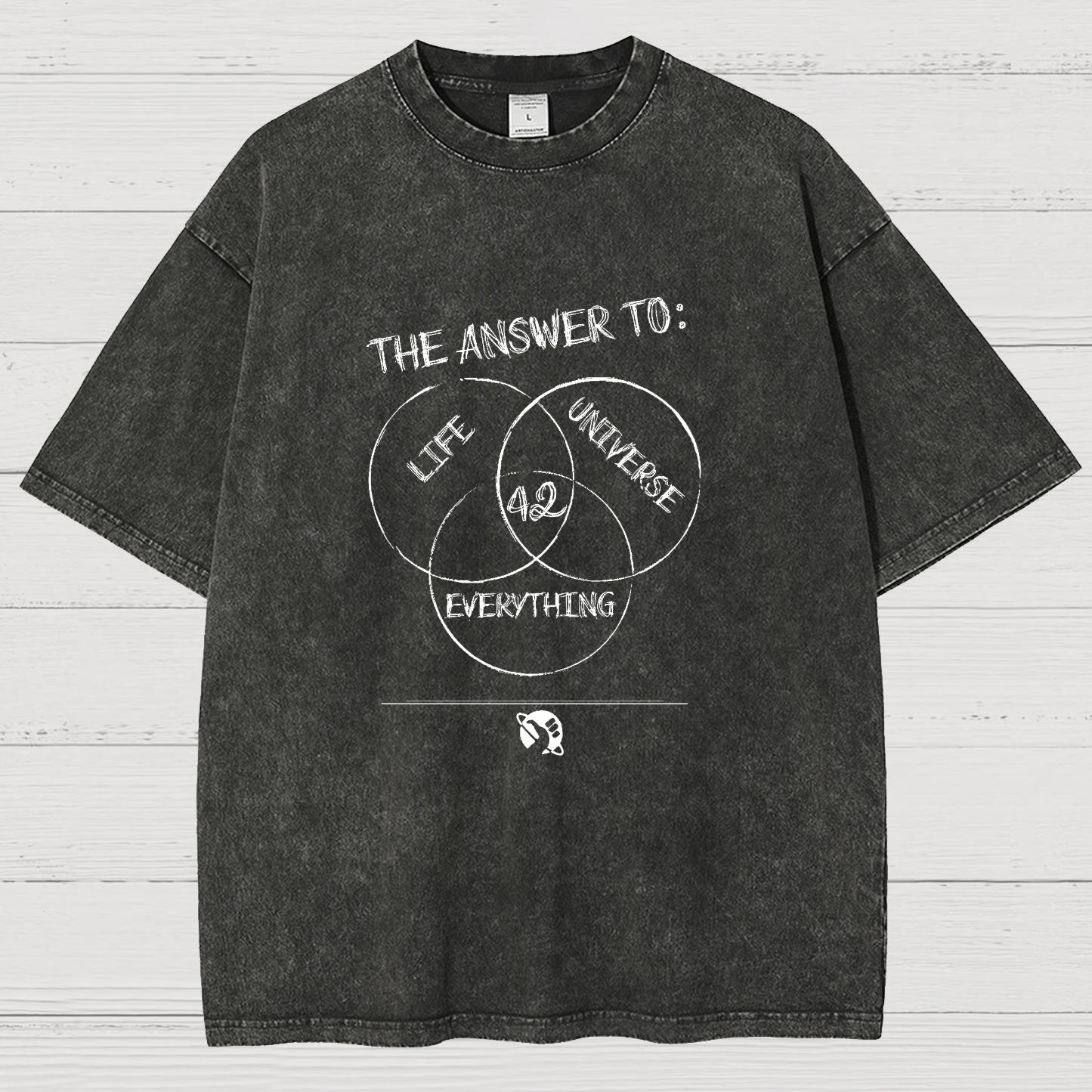 Diagram Of Everything Vintage Distressed T-shirt