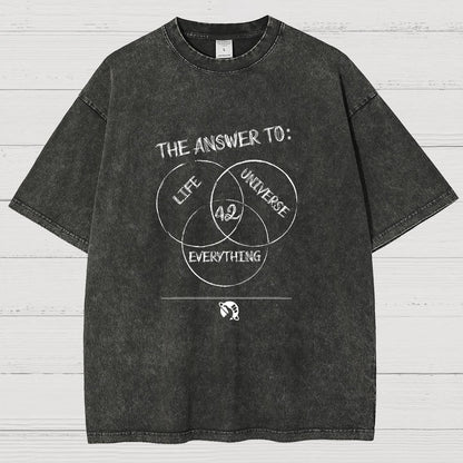 Diagram Of Everything Vintage Distressed T-shirt