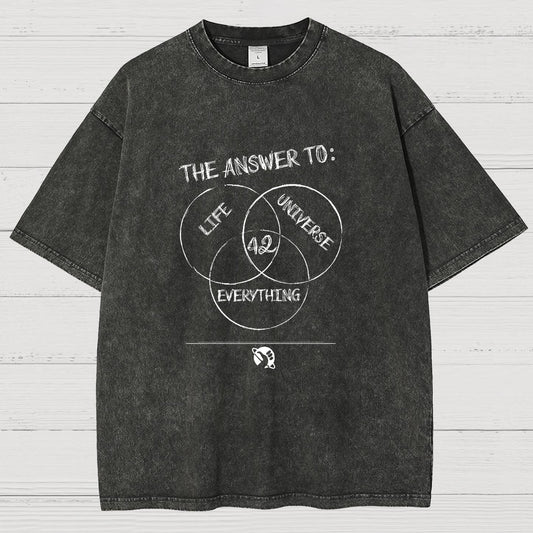 Diagram Of Everything Vintage Distressed T-shirt