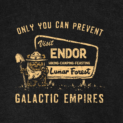 Only You Can Prevent Cosmic Kingdoms Vintage Distressed Hoodie