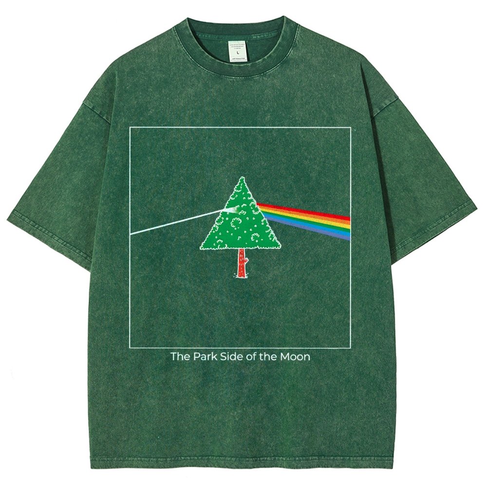 The Park Side of the Moon Vintage Distressed T-shirt