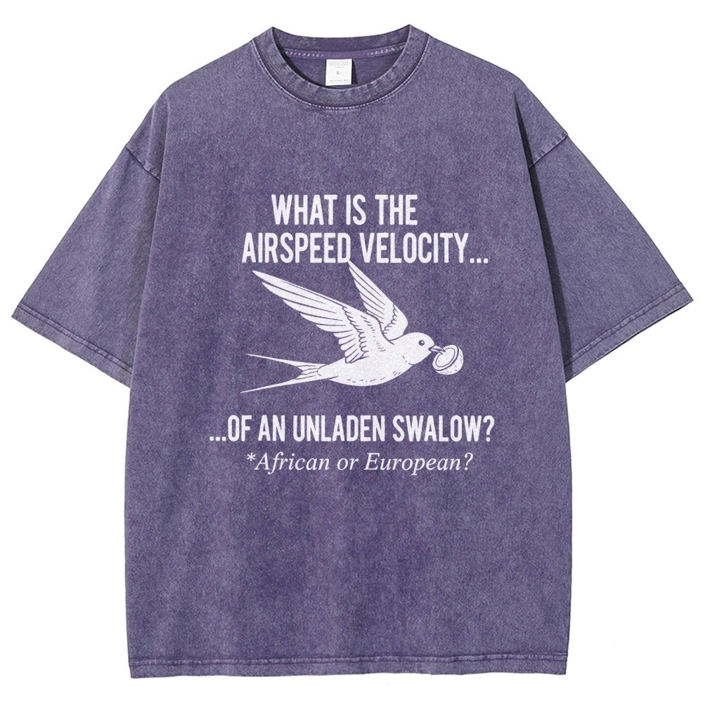 What Is The Airspeed Velocity...Art Print Vintage Distressed T-shirt