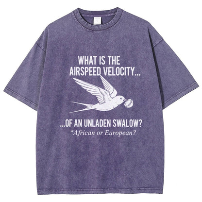 What Is The Airspeed Velocity...Art Print Vintage Distressed T-shirt