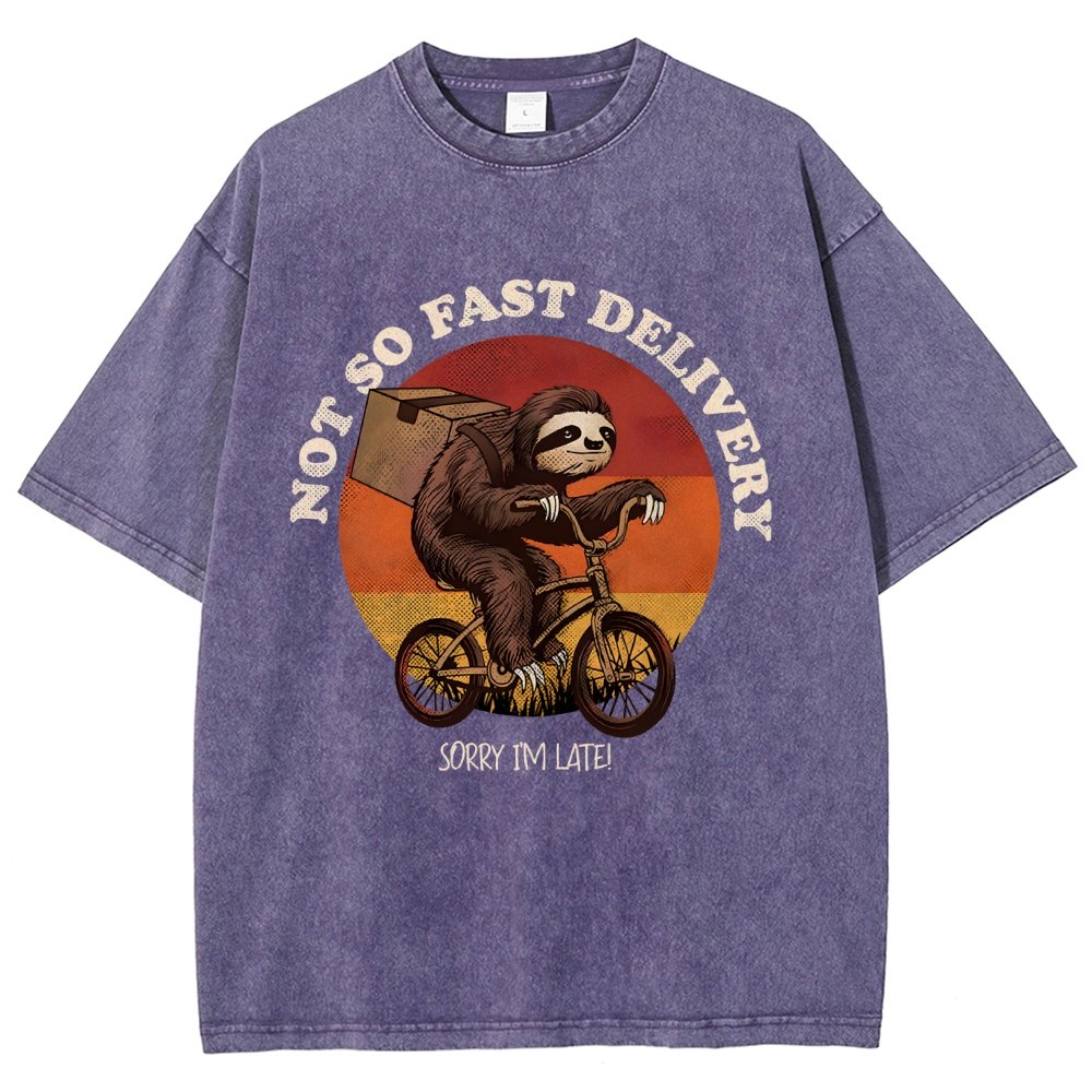 Not So Express Delivery Vintage Distressed T-shirt
