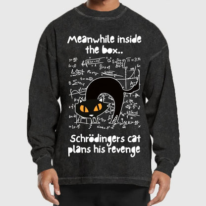 Schrodingers Cat Revenge Washed Long Sleeve Tee