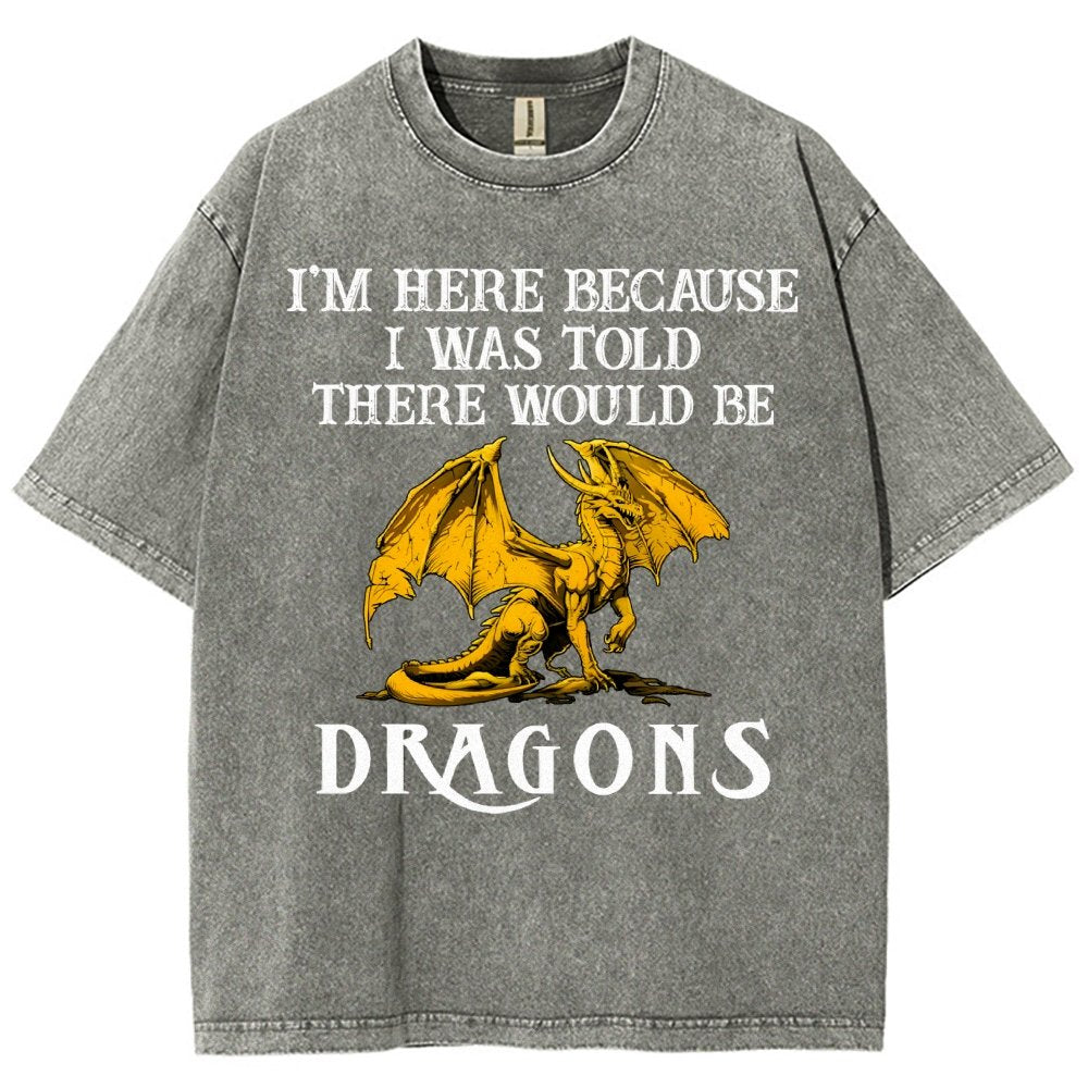 I'm Here Because I Was Told There Would Be Dragons Vintage Distressed T-shirt