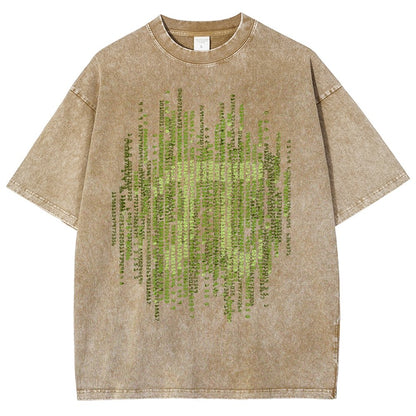 Enter The Pi Vintage Distressed T-shirt