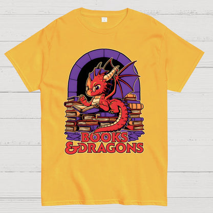 Books and Dragons Geek T-Shirt