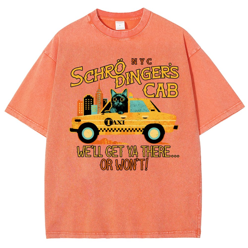 Schrodinger's Cab Vintage Distressed T-shirt