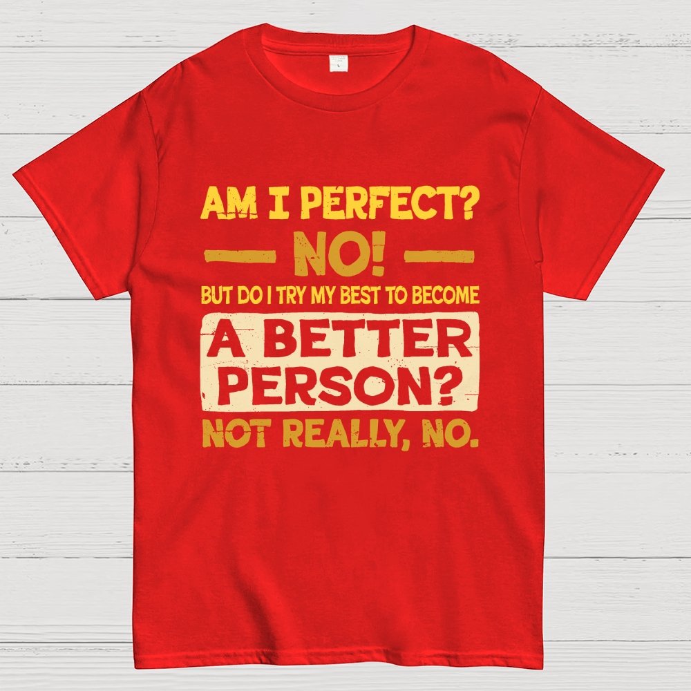 Am I Perfect Geek T-Shirt