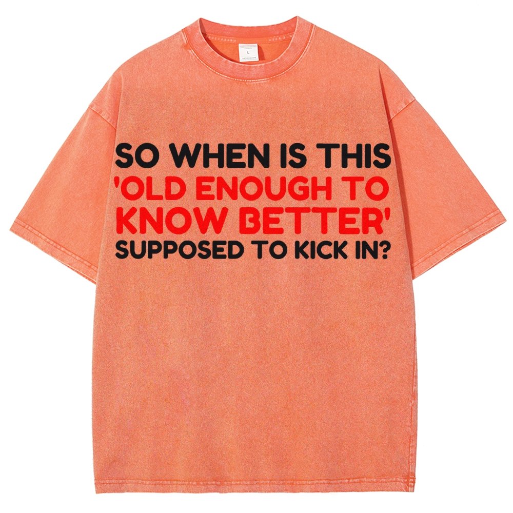 Old Enough To Know Better Vintage Distressed T-shirt