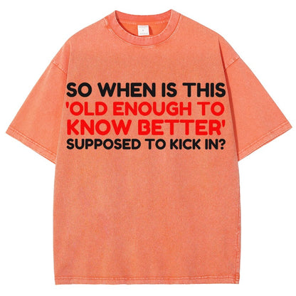Old Enough To Know Better Vintage Distressed T-shirt