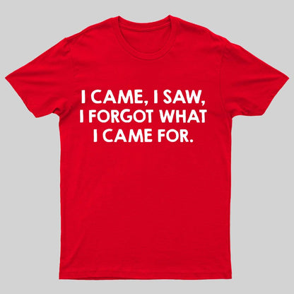 I Came and Saw Funny Geeky T-Shirt