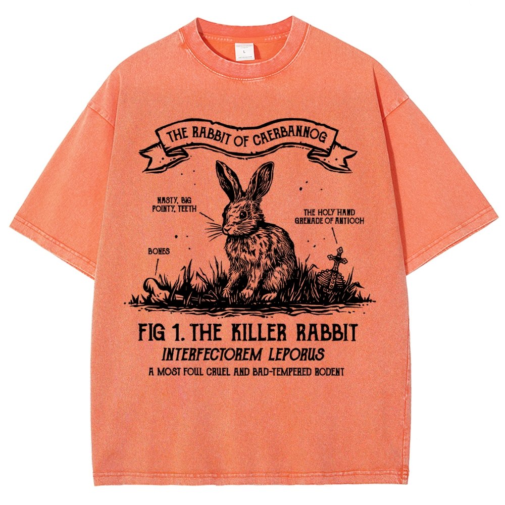 The Rabbit of Mysterious Place Vintage Distressed T-shirt