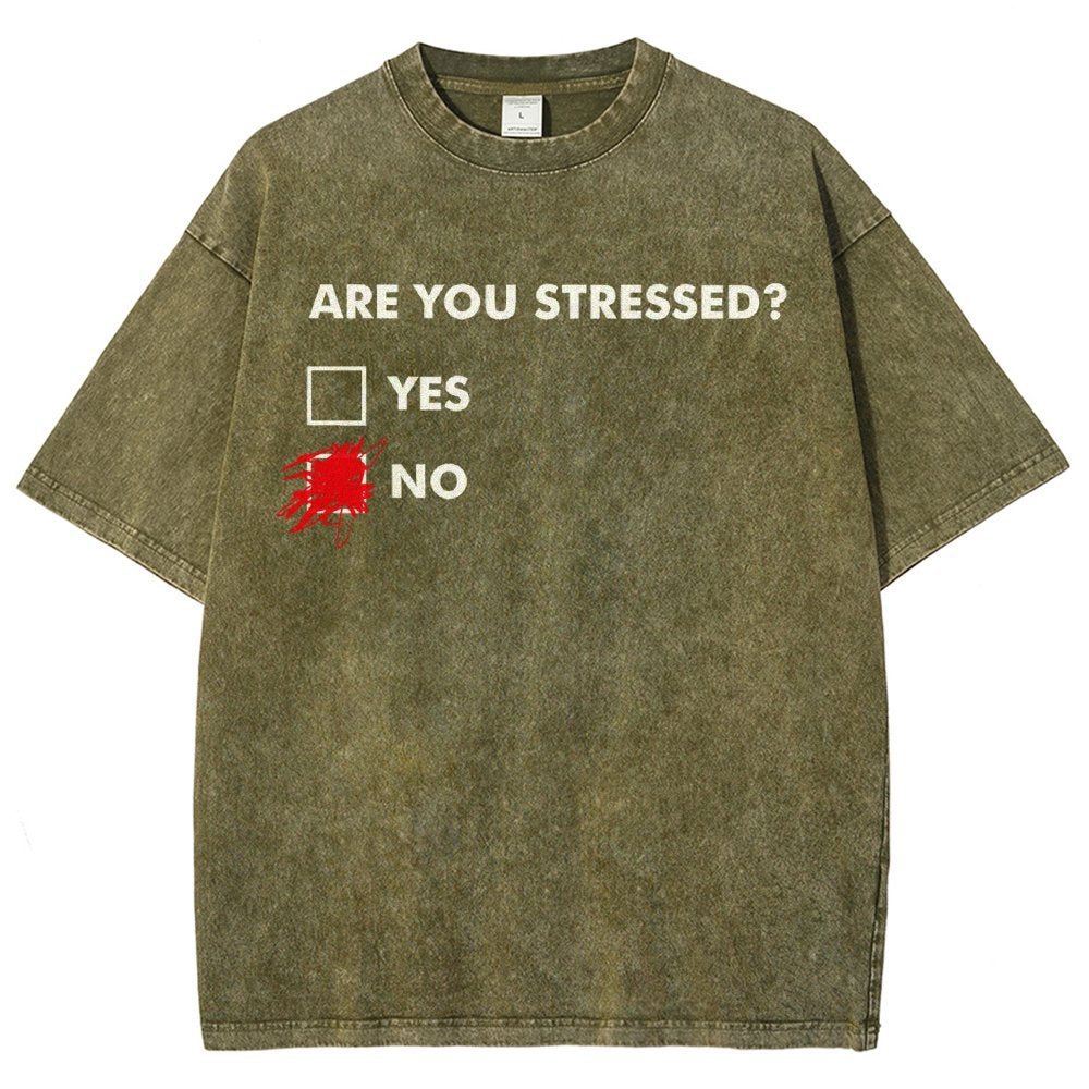 Fuuny Word Are You Stressed No Vintage Distressed T-shirt