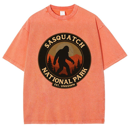 Sasquatch National Park Vintage Distressed T-shirt