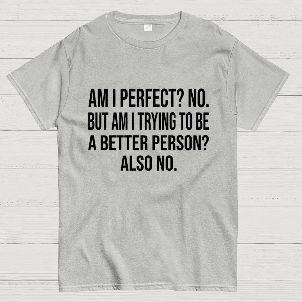 Am I Perfect No But Am I Trying To Be A Better Person Also No Geek T-Shirt