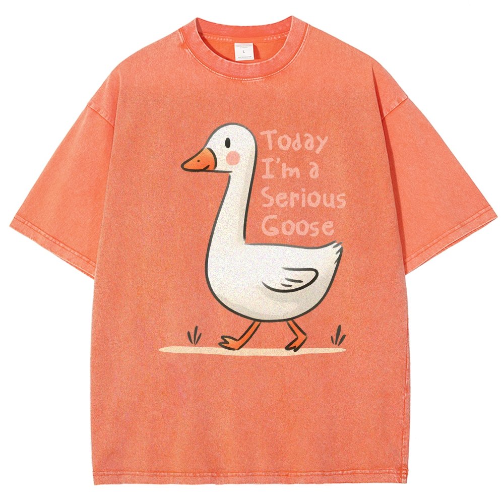Today I’m A Serious Goose Vintage Distressed T-shirt