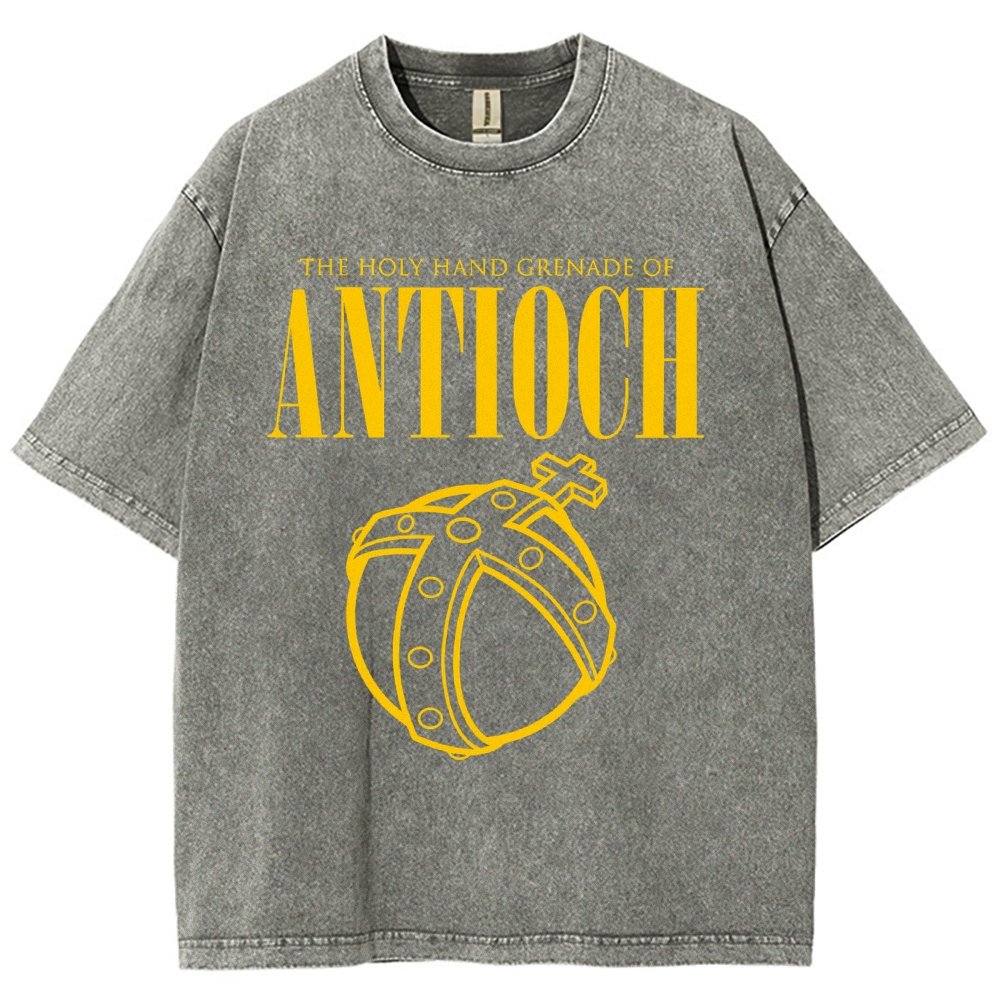 The Holy Hand Grenade of an Ancient Place Vintage Distressed T-shirt