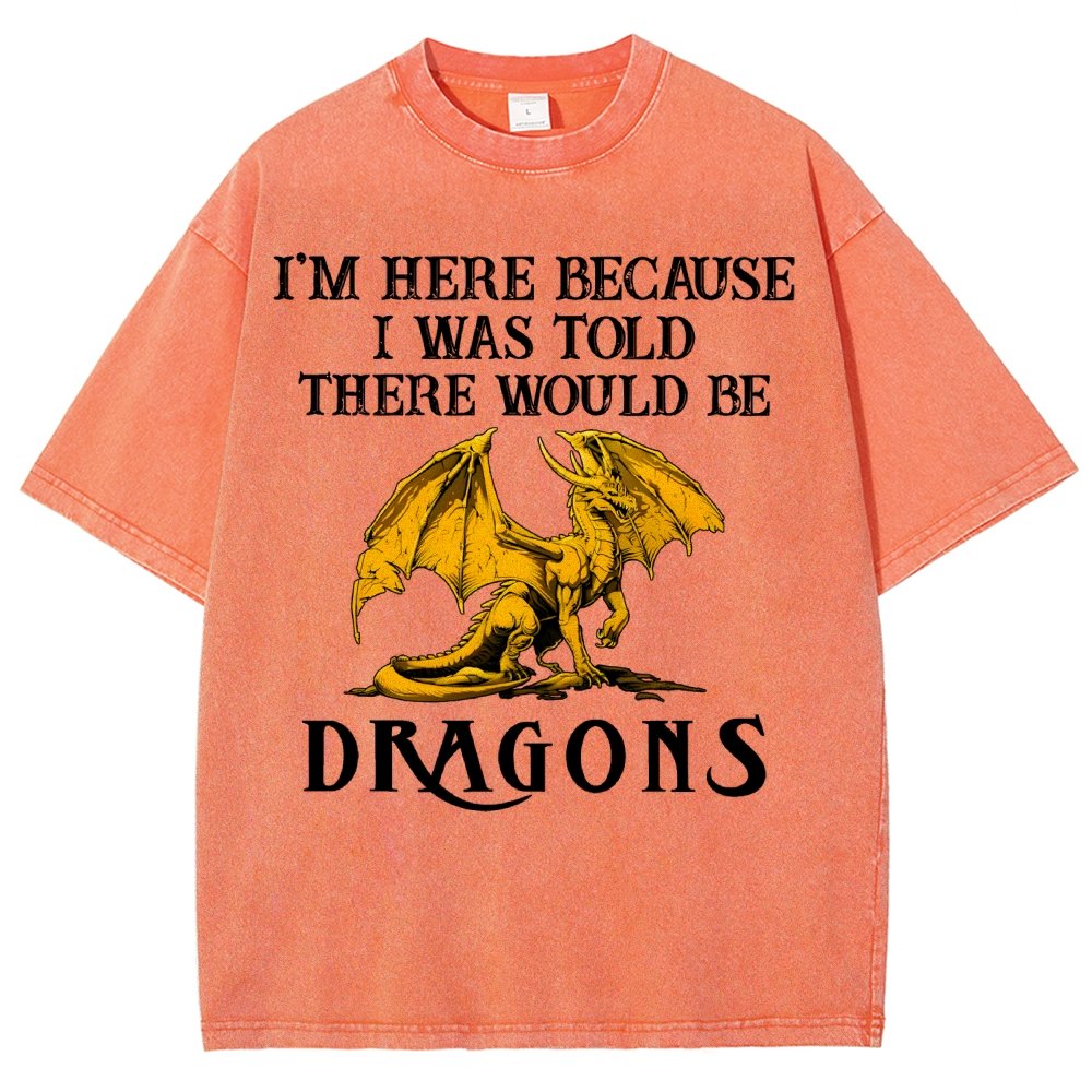 I'm Here Because I Was Told There Would Be Dragons Vintage Distressed T-shirt