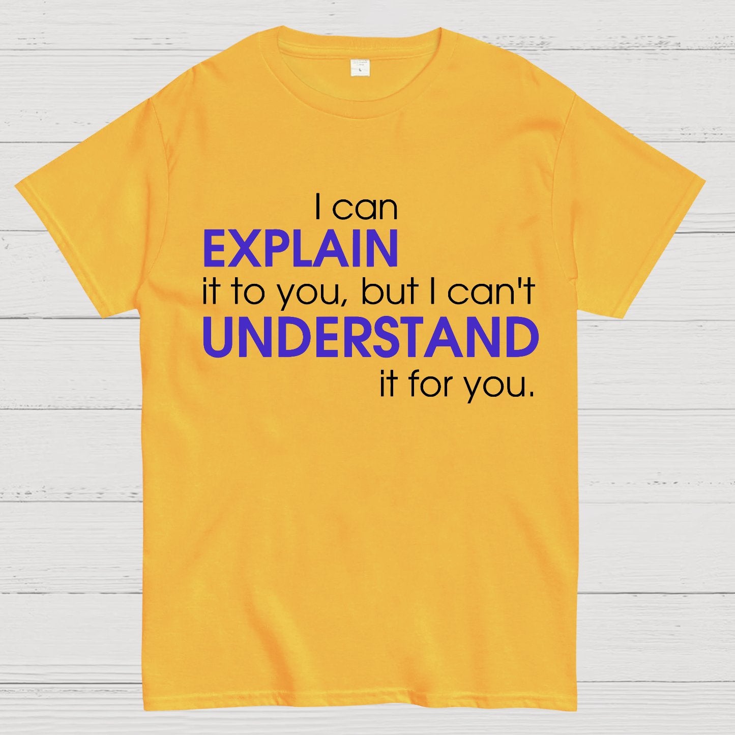 I can EXPLAIN it to you but I can't UNDERSTAND it for you Geek T-Shirt