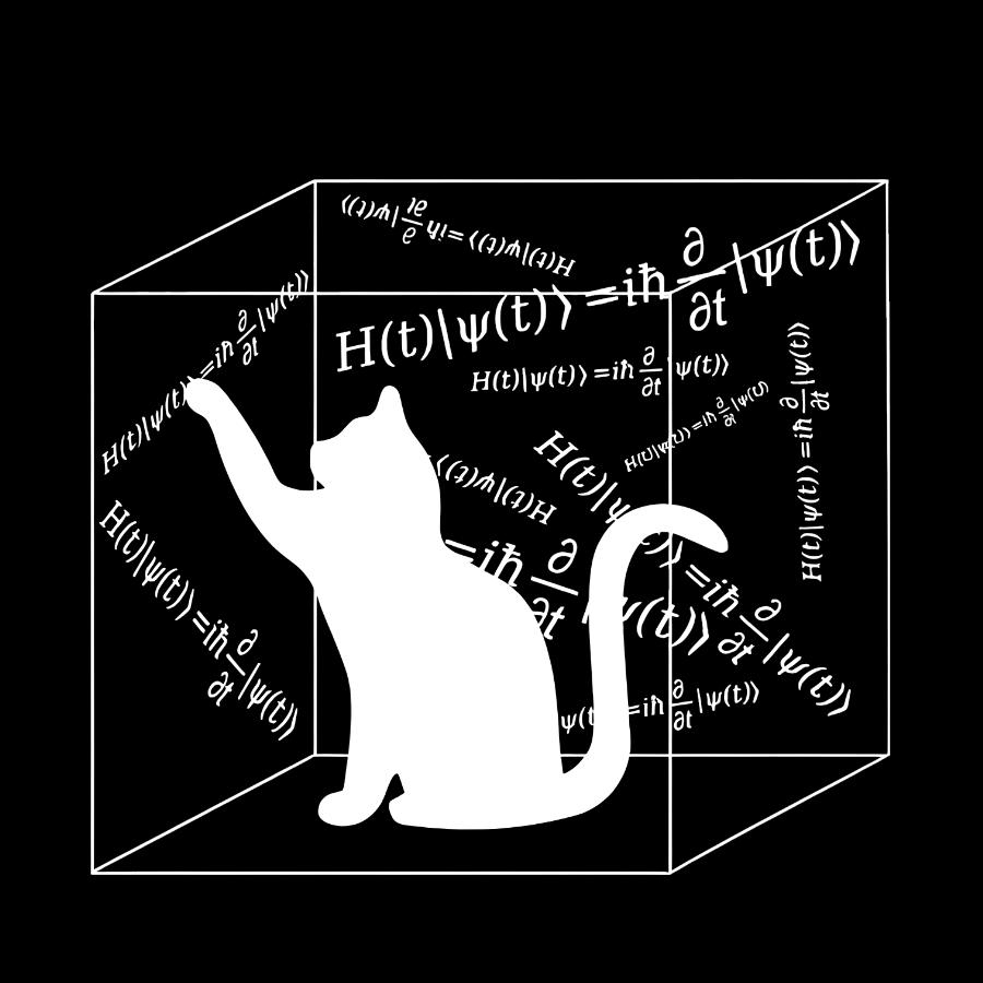 Schrödinger Cat Geeky T-Shirt